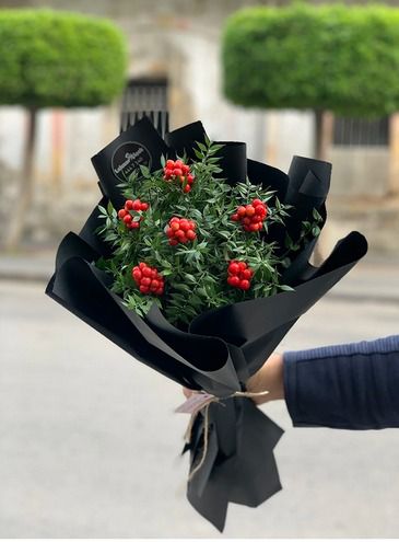 Kokina Buketi skenderun